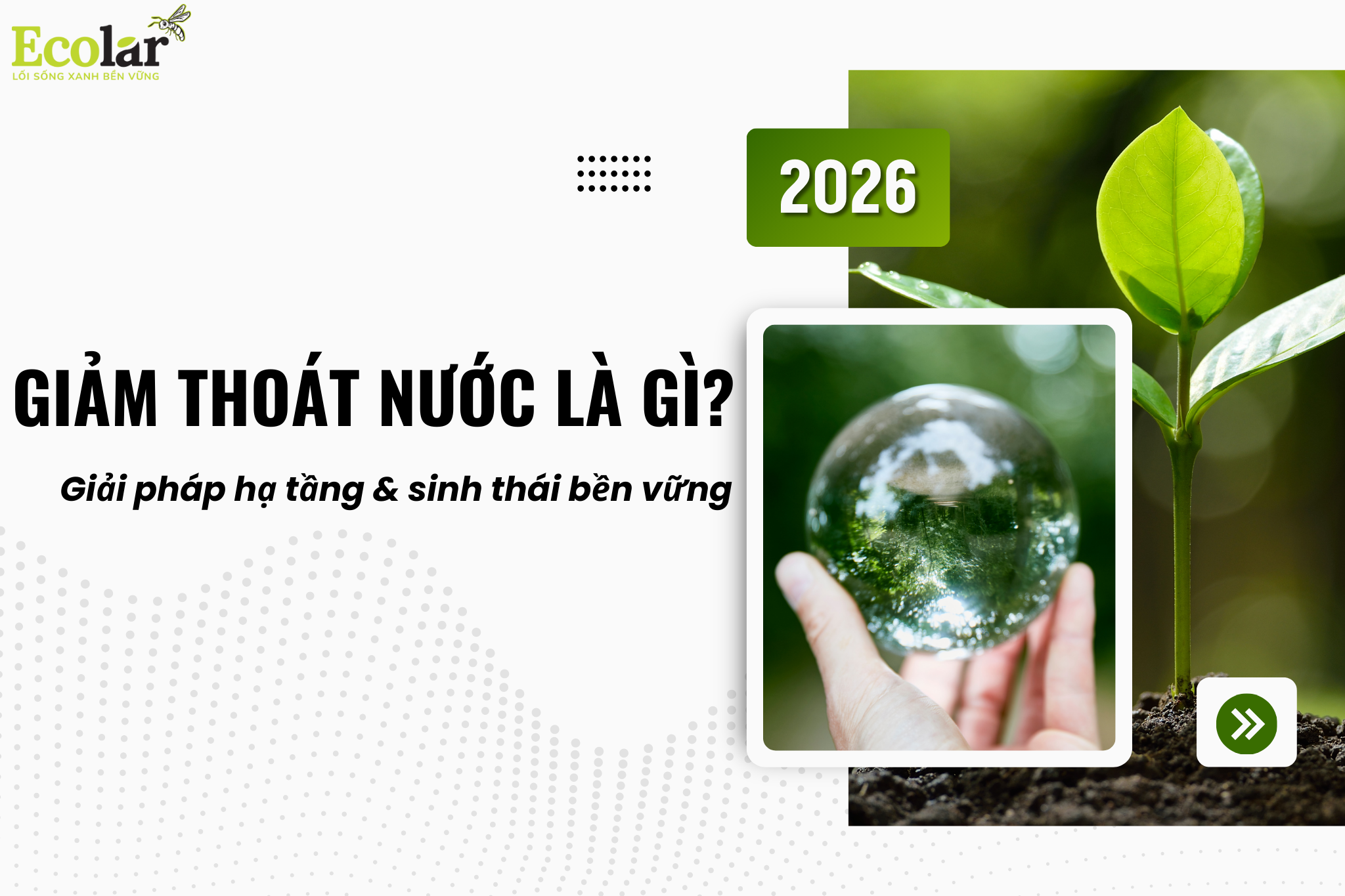 thum2 5 Bao Bì Ánh Sáng - Chuyên Gia Bao Bì PP Dệt