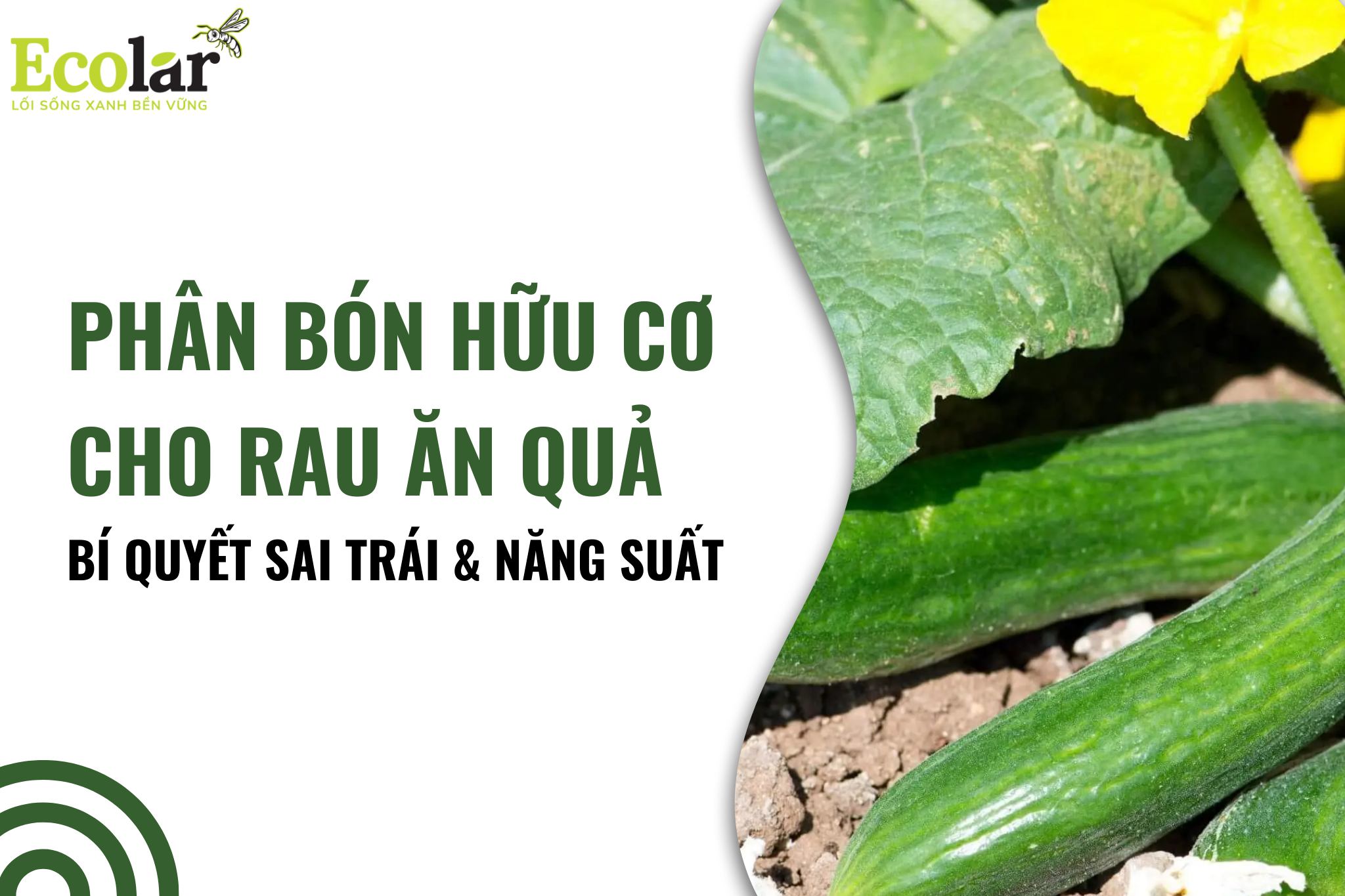 thum2 Bao Bì Ánh Sáng - Chuyên Gia Bao Bì PP Dệt