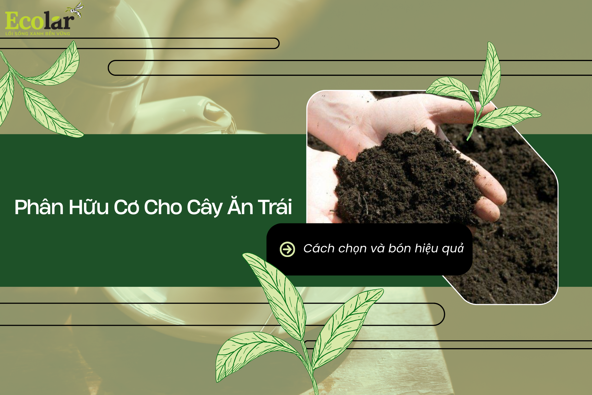 thumb 1 Bao Bì Ánh Sáng - Chuyên Gia Bao Bì PP Dệt