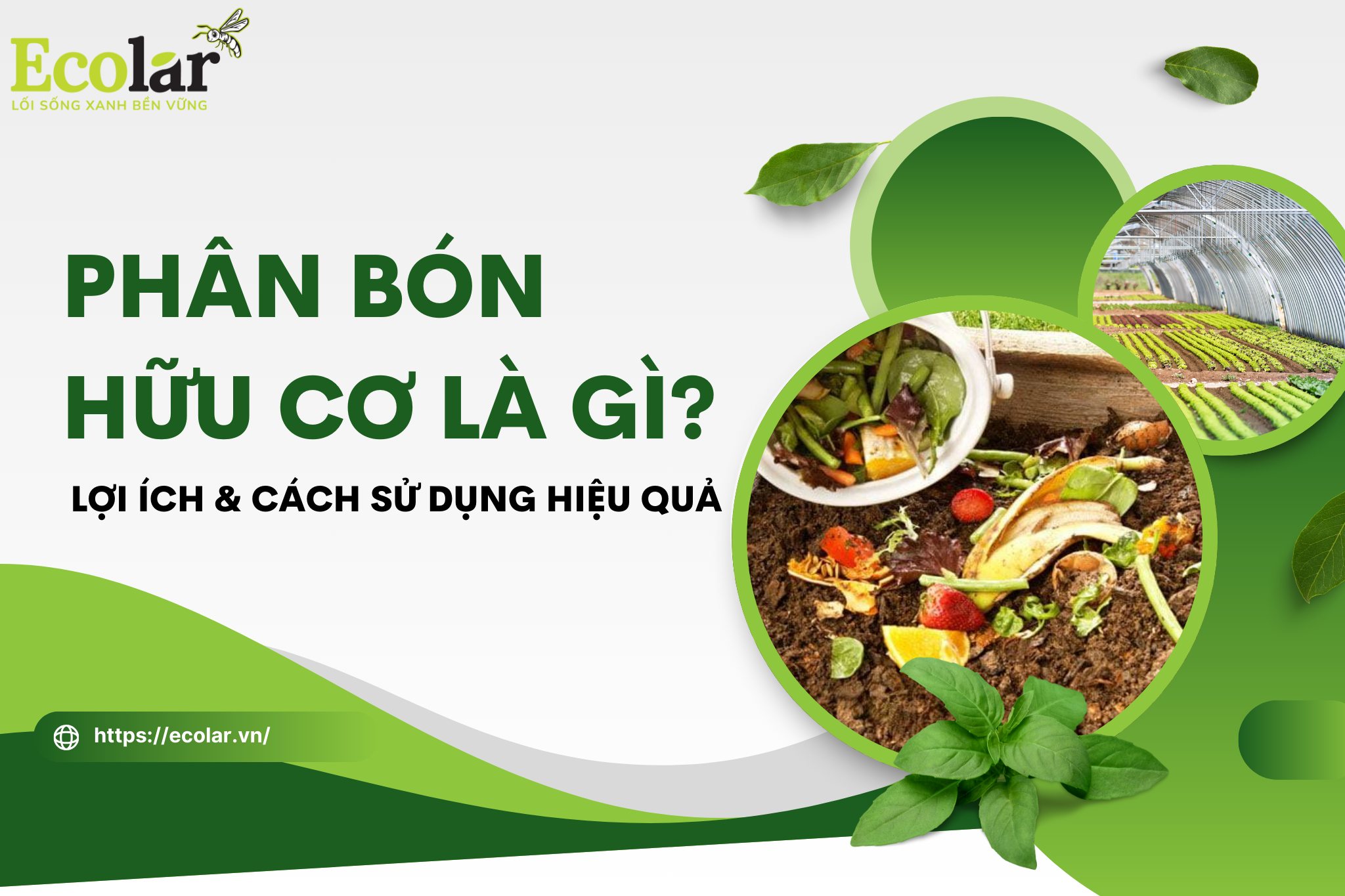 thumb nail 1 Bao Bì Ánh Sáng - Chuyên Gia Bao Bì PP Dệt