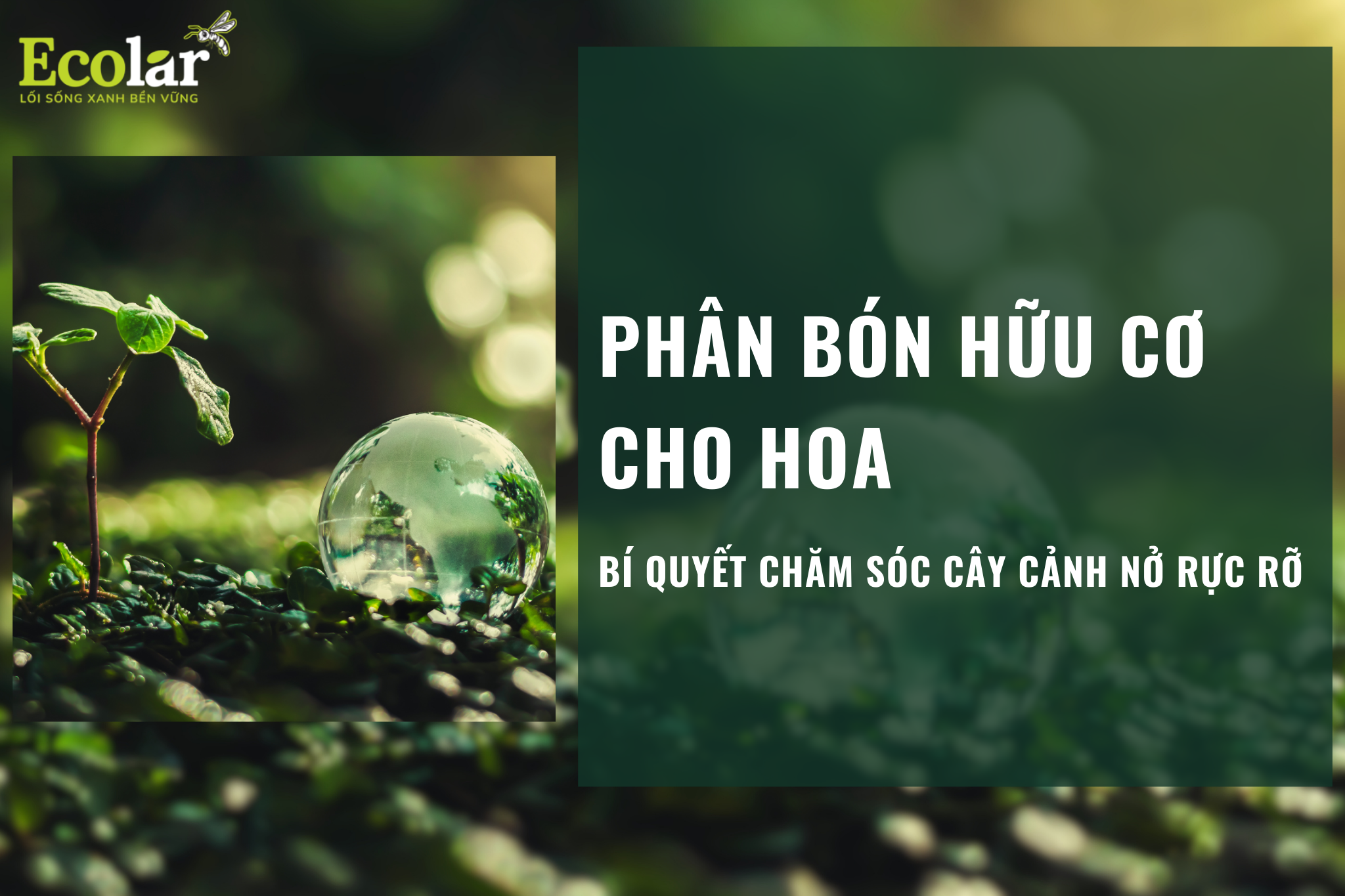 thumb2 2 Bao Bì Ánh Sáng - Chuyên Gia Bao Bì PP Dệt