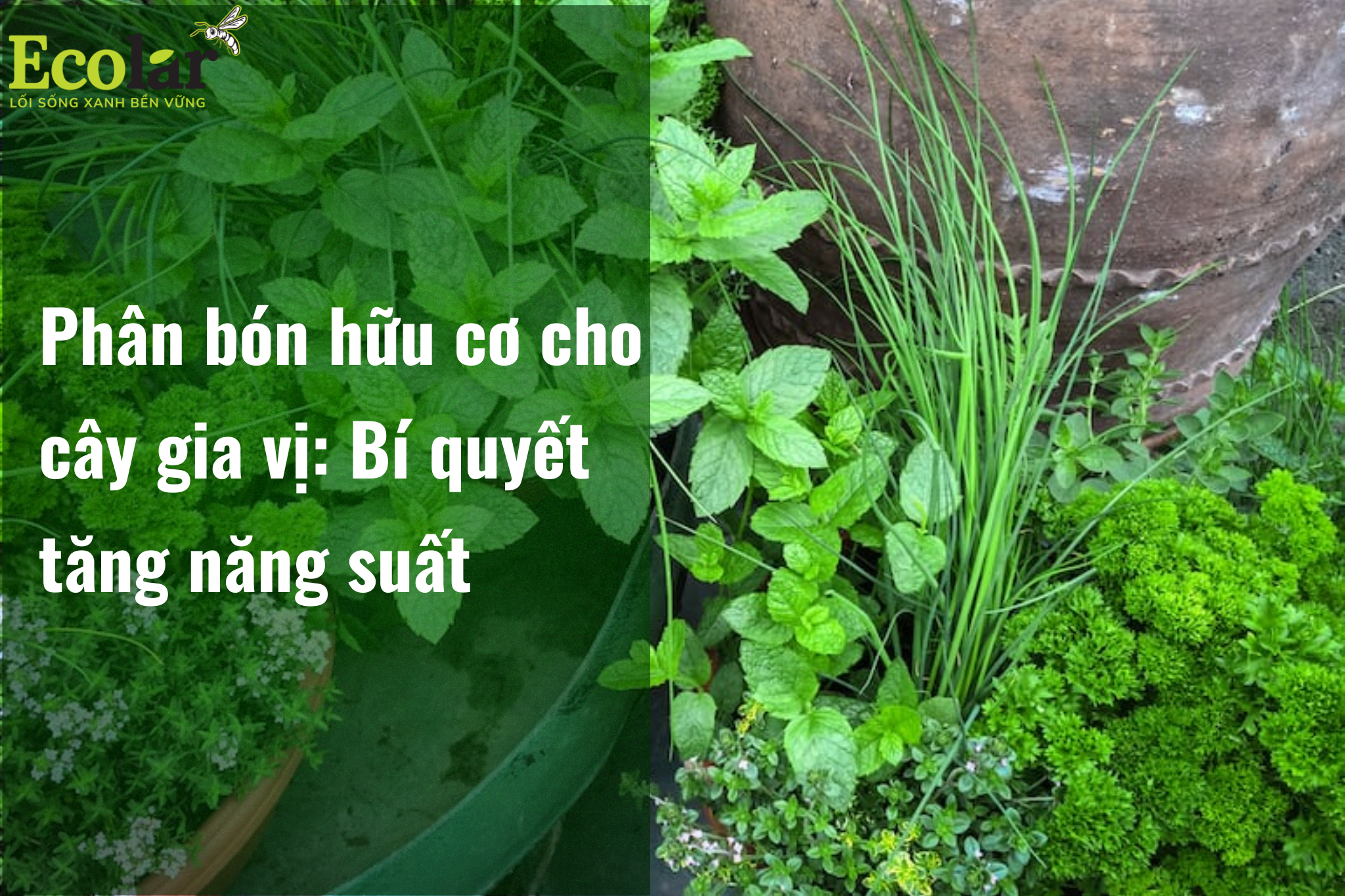 thumb2 3 Bao Bì Ánh Sáng - Chuyên Gia Bao Bì PP Dệt