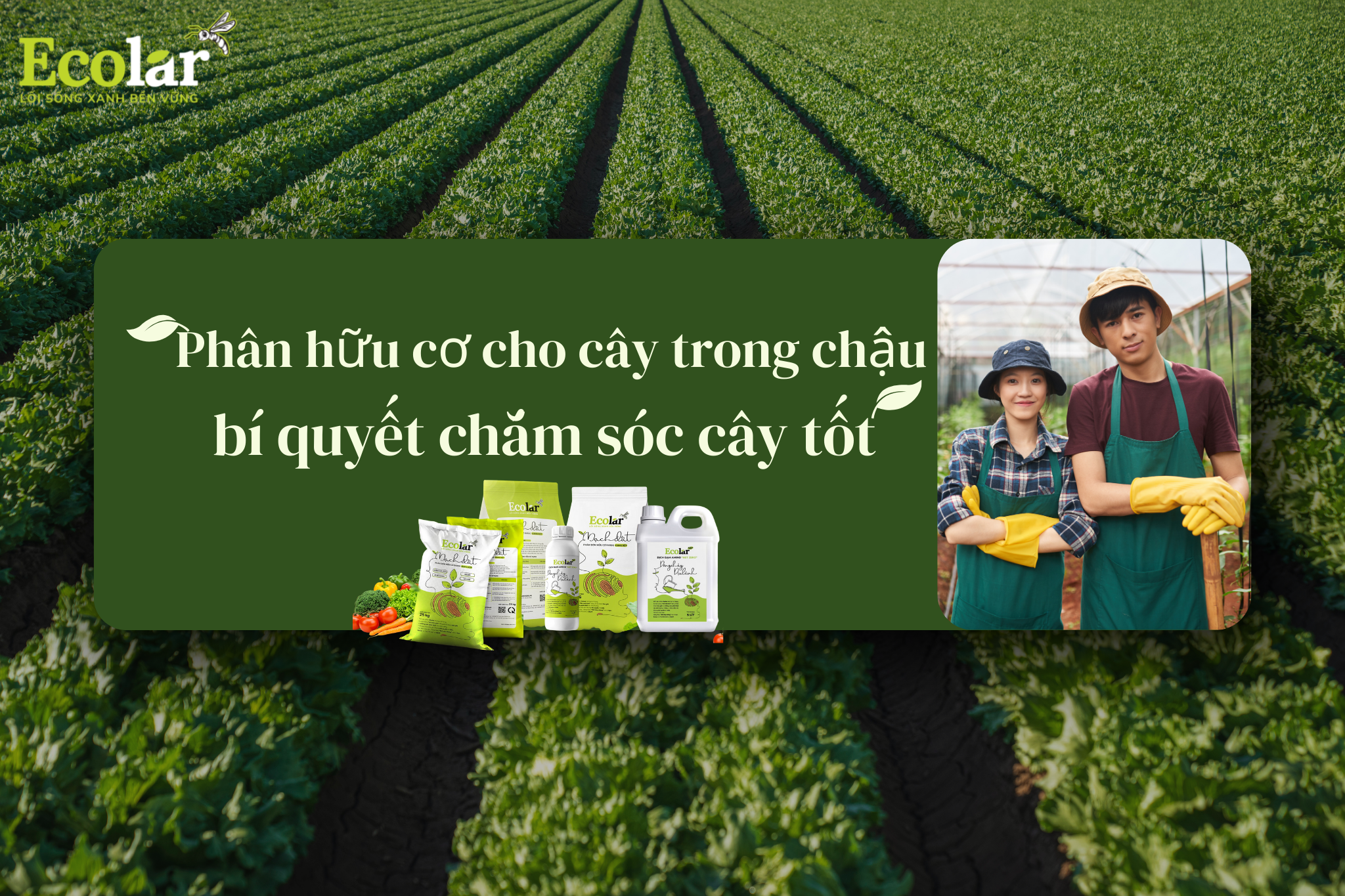 thumb2 4 Bao Bì Ánh Sáng - Chuyên Gia Bao Bì PP Dệt