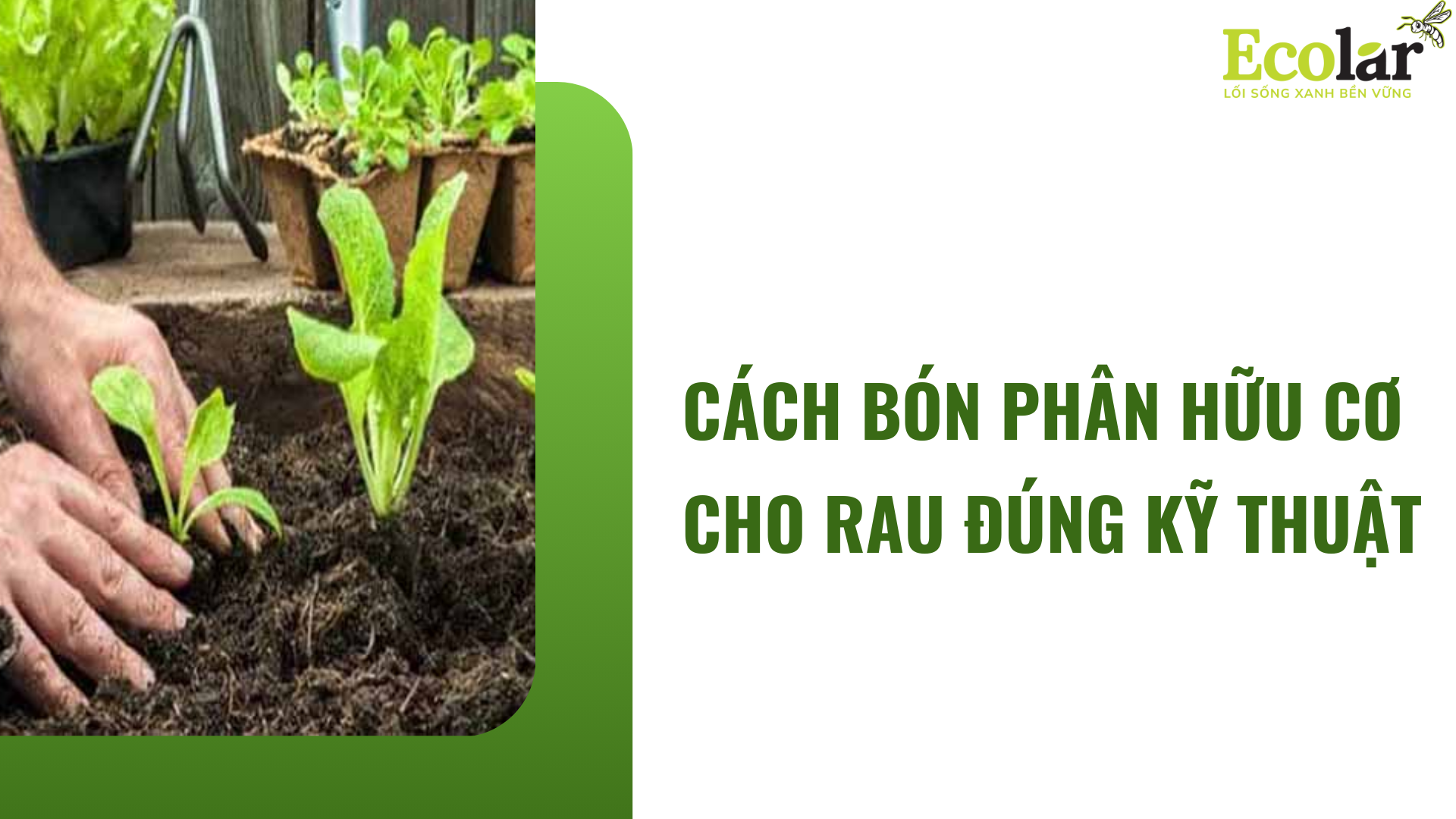thumb 2 1 Bao Bì Ánh Sáng - Chuyên Gia Bao Bì PP Dệt