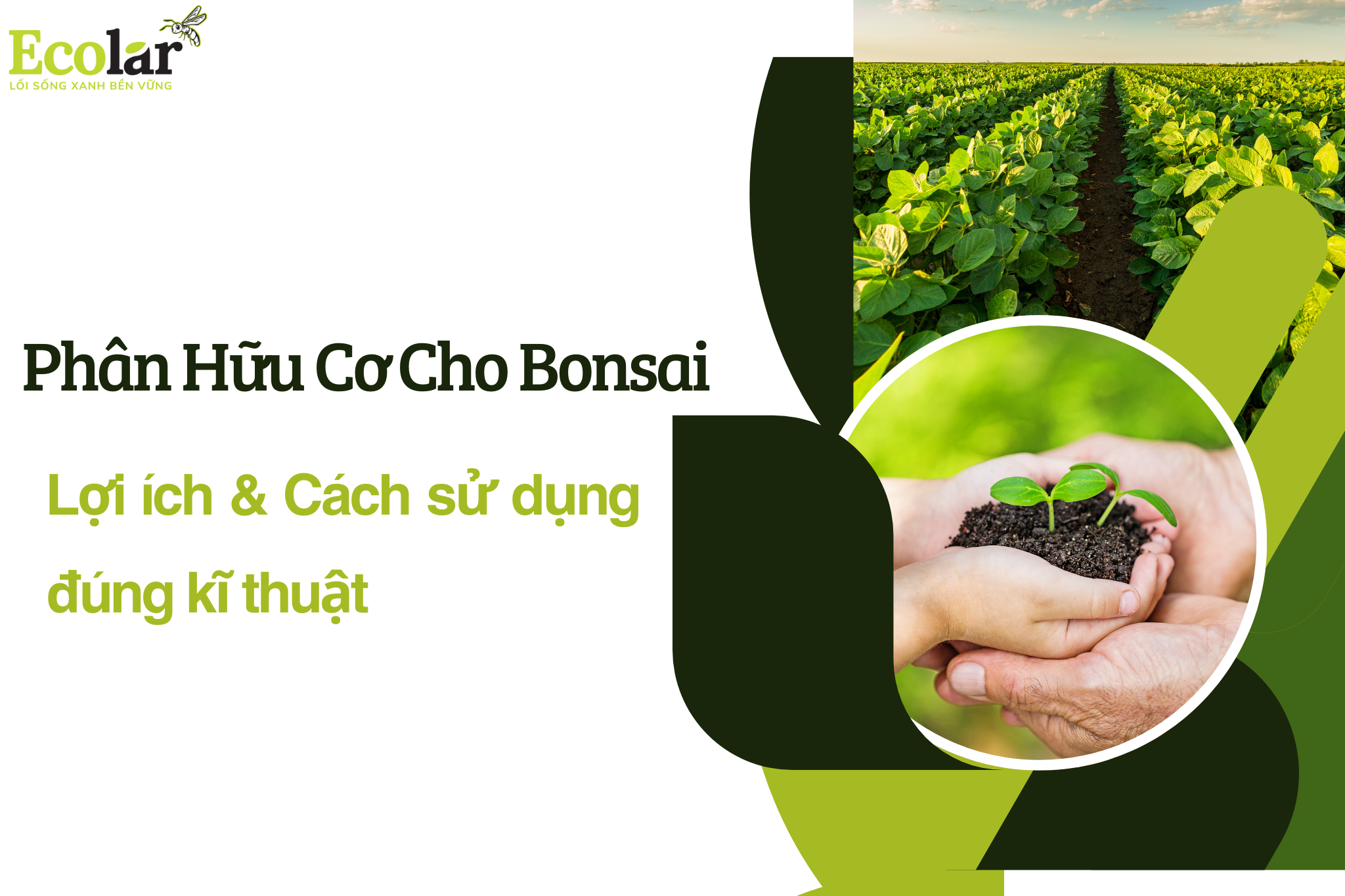 thumb 2 Bao Bì Ánh Sáng - Chuyên Gia Bao Bì PP Dệt