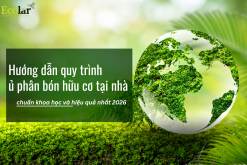 Hướng dẫn quy trình ủ phân bón hữu cơ tại nhà chuẩn khoa học và hiệu quả nhất 2026